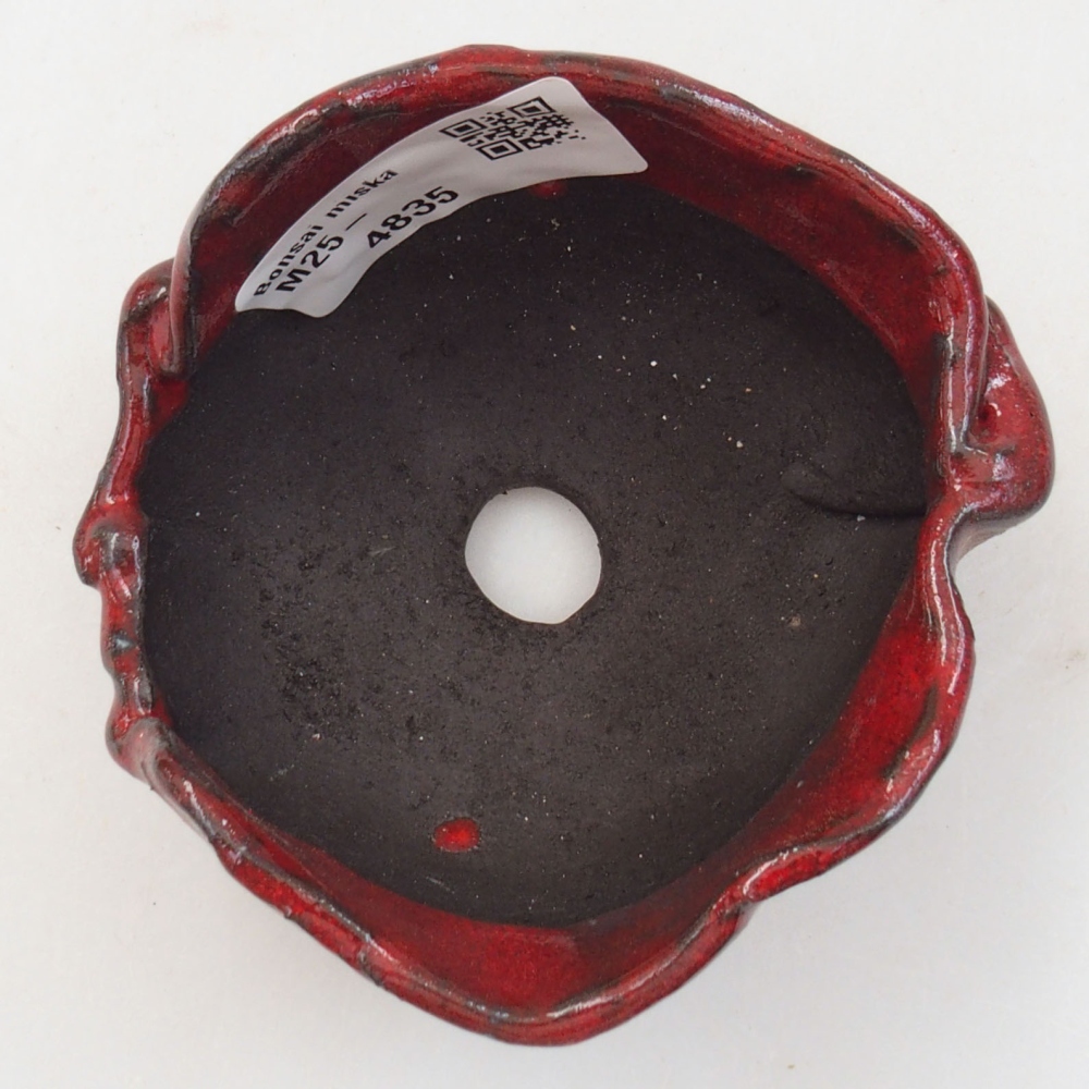 Ceramic shell 8 x 7 x 4,5 cm, color red
