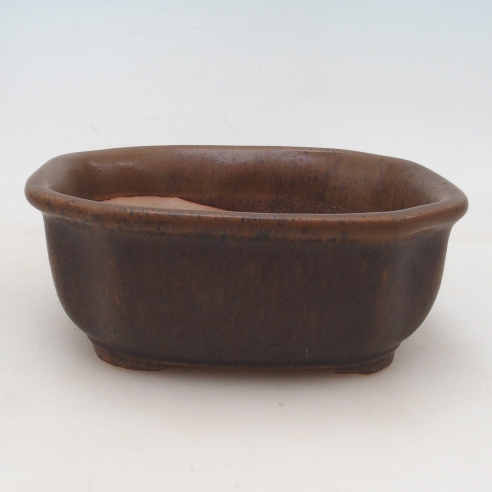 Bonsai bowl + saucer H31 - brown