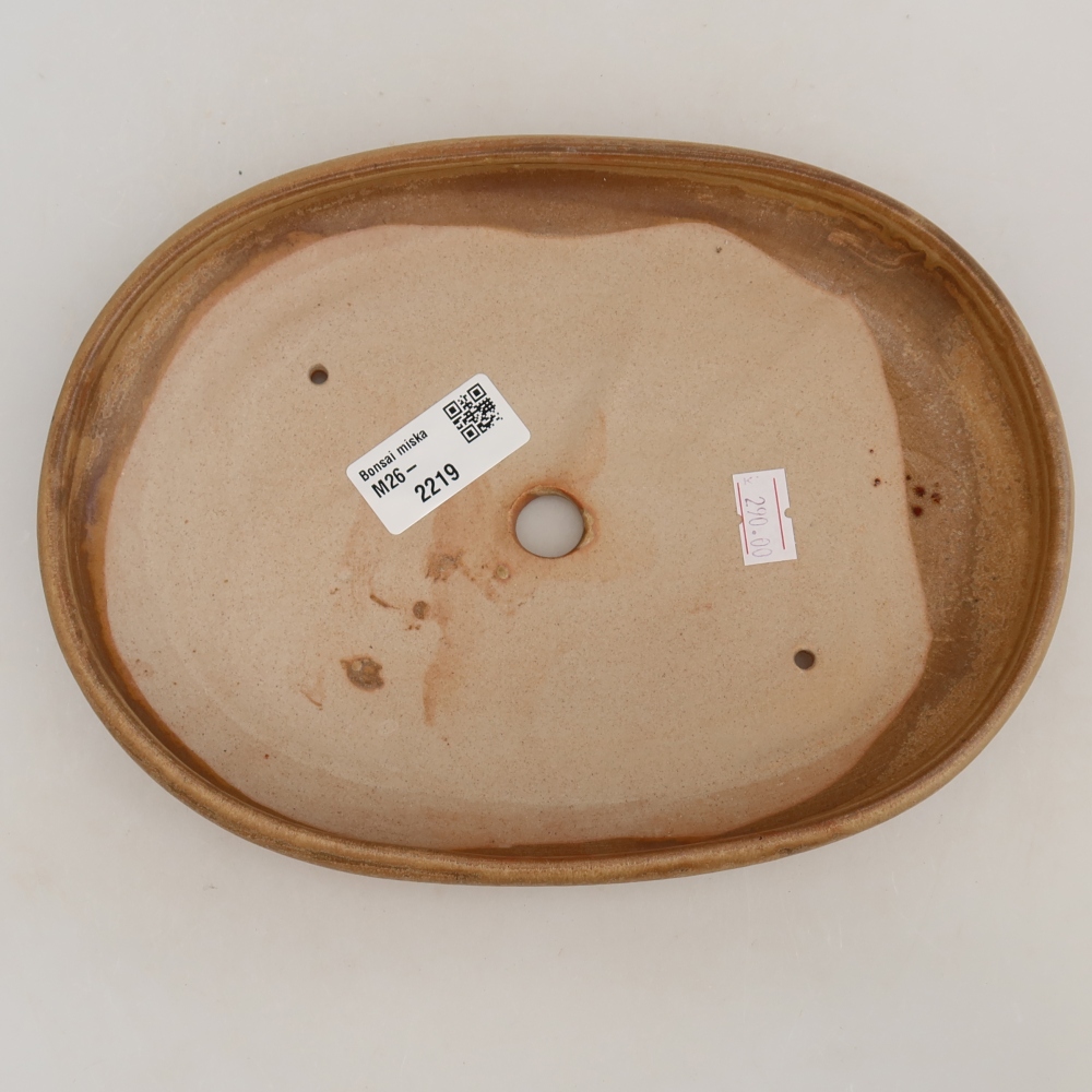 Ceramic bonsai bowl 22,5 x 16,5 x 3 cm, colour beige