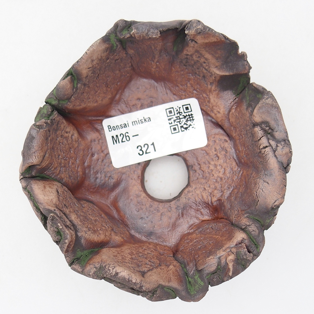 Ceramic shell 10 x 9 x 5,5 cm , colour green