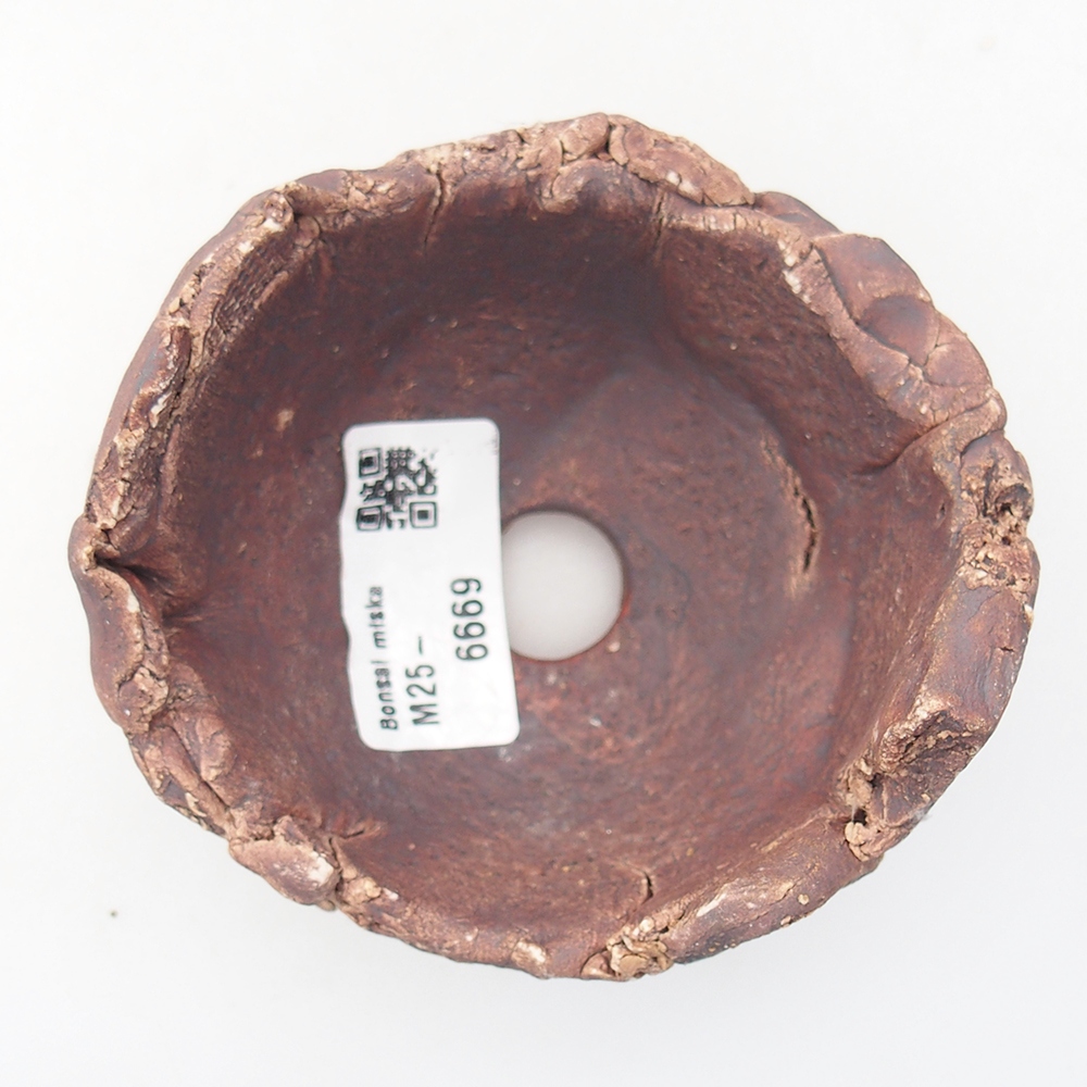 Ceramic Shell 9 x 9 x 6 cm , colour brown
