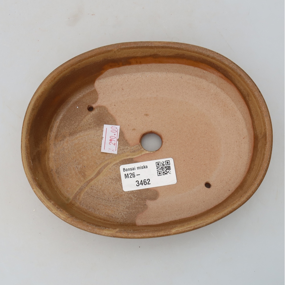 Ceramic bonsai bowl 17 x 14 x 4 cm, colour beige