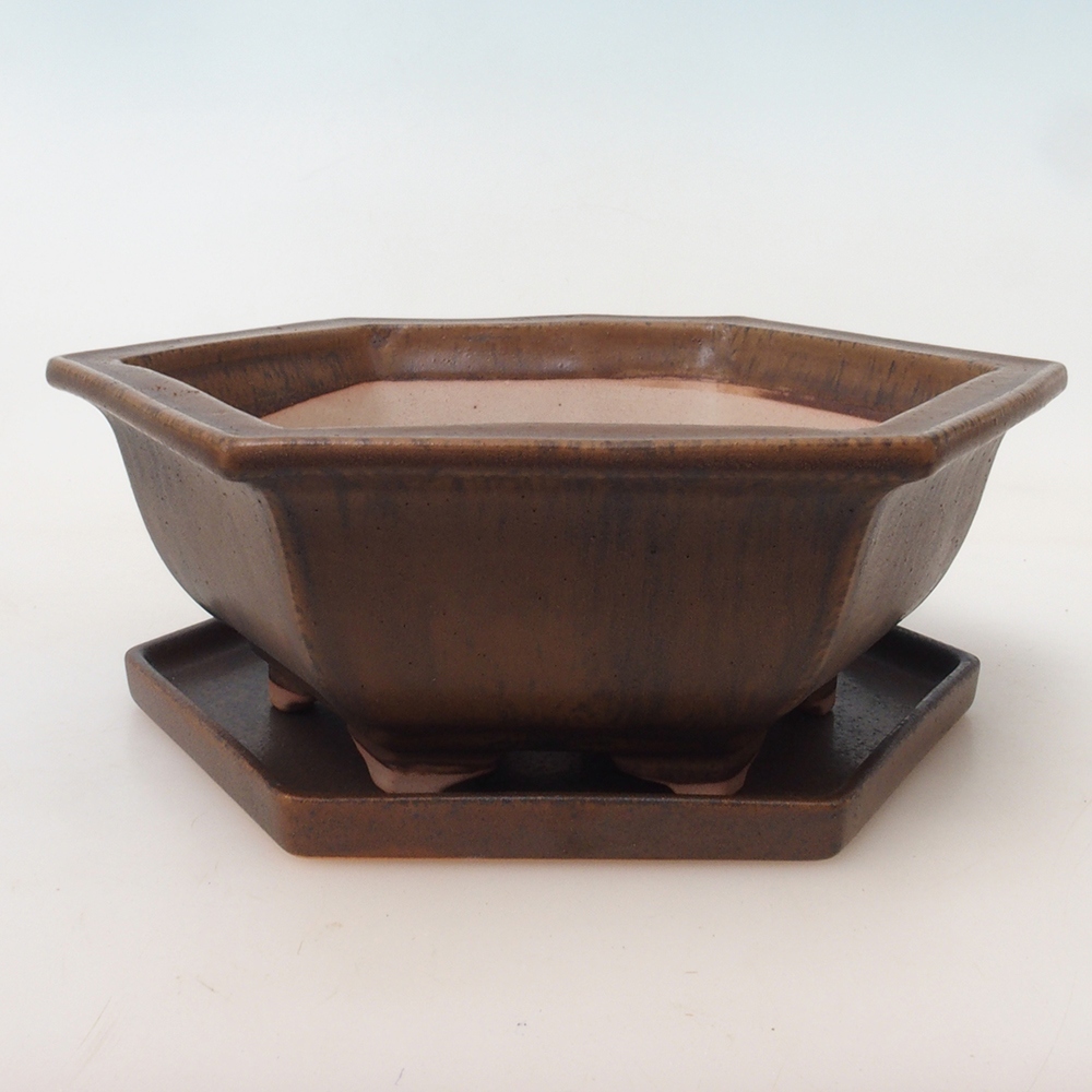 Bonsai pot + saucer H53 - 19 x 21.5 x 7 cm.