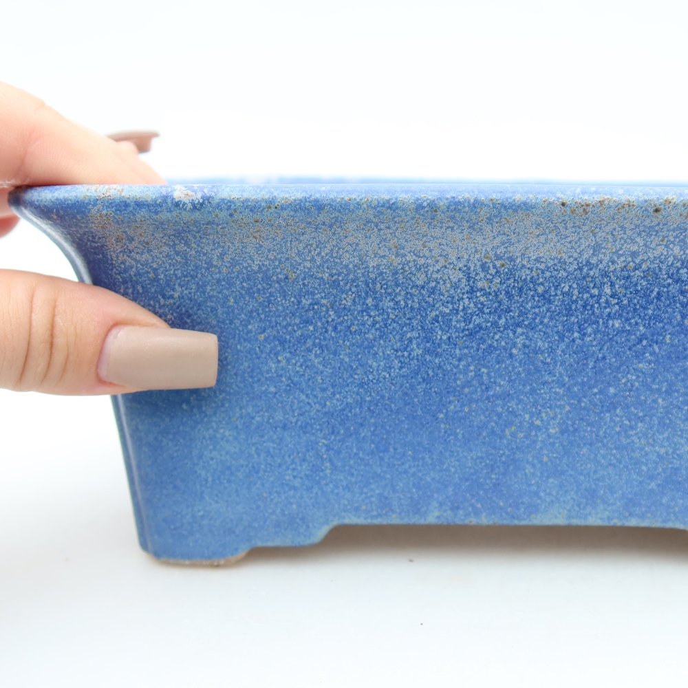Ceramic bonsai pot, 18 x 13.5 x 7.5 cm, blue