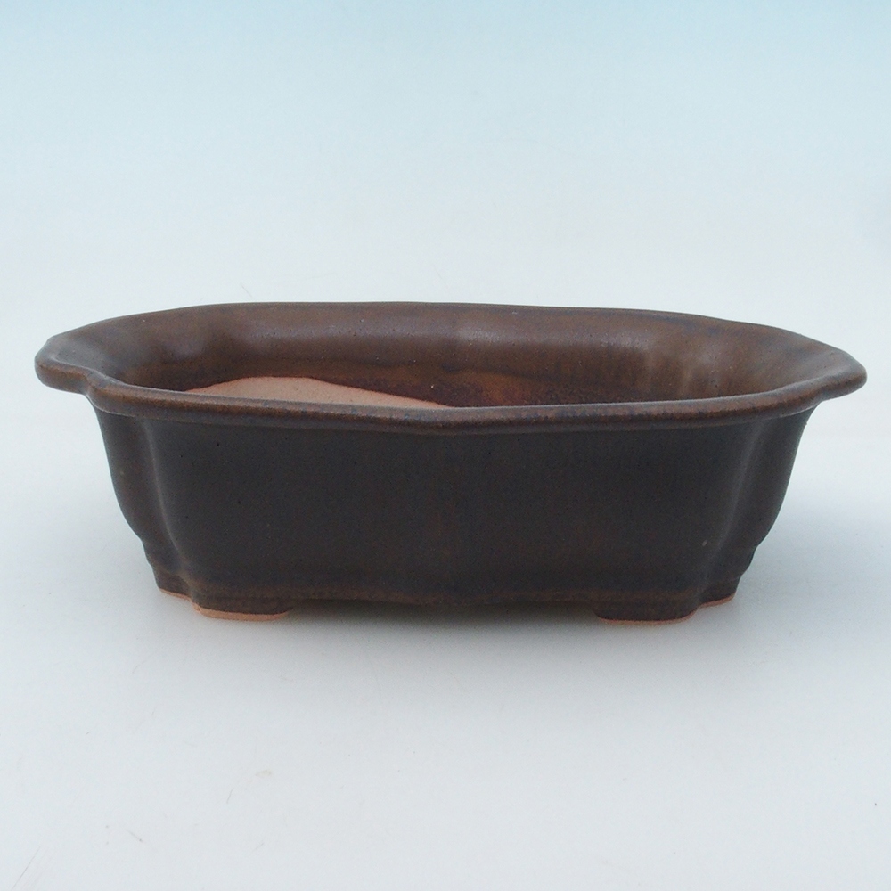 Bonsai bowl + saucer H01 - 12x9x5 cm