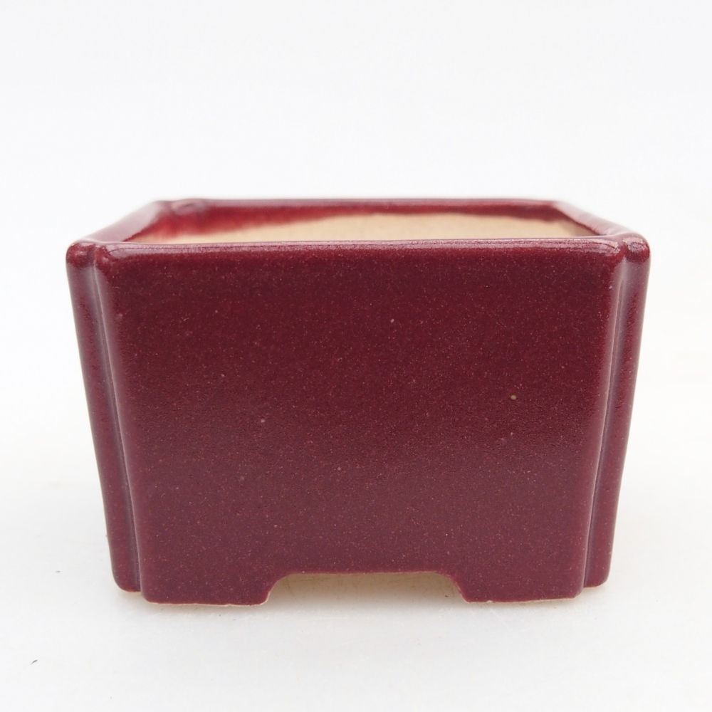 Mini bonsai bowl 5 x 5 x 3 cm, burgundy