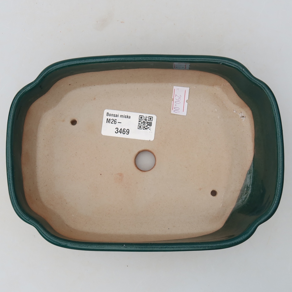 Ceramic bonsai pot, 18.5 x 13 x 5 cm, green