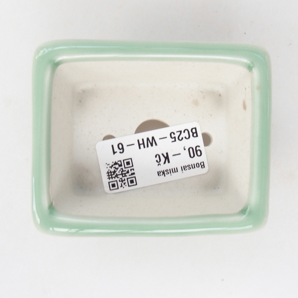 Mini bonsai bowl 8 x 6,5 x 3 cm, green