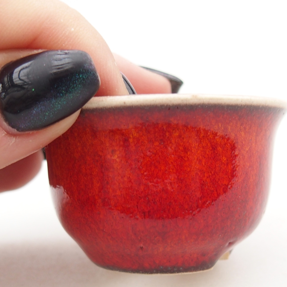 Mini bonsai bowl 5 x 5 x 3 cm, colour red