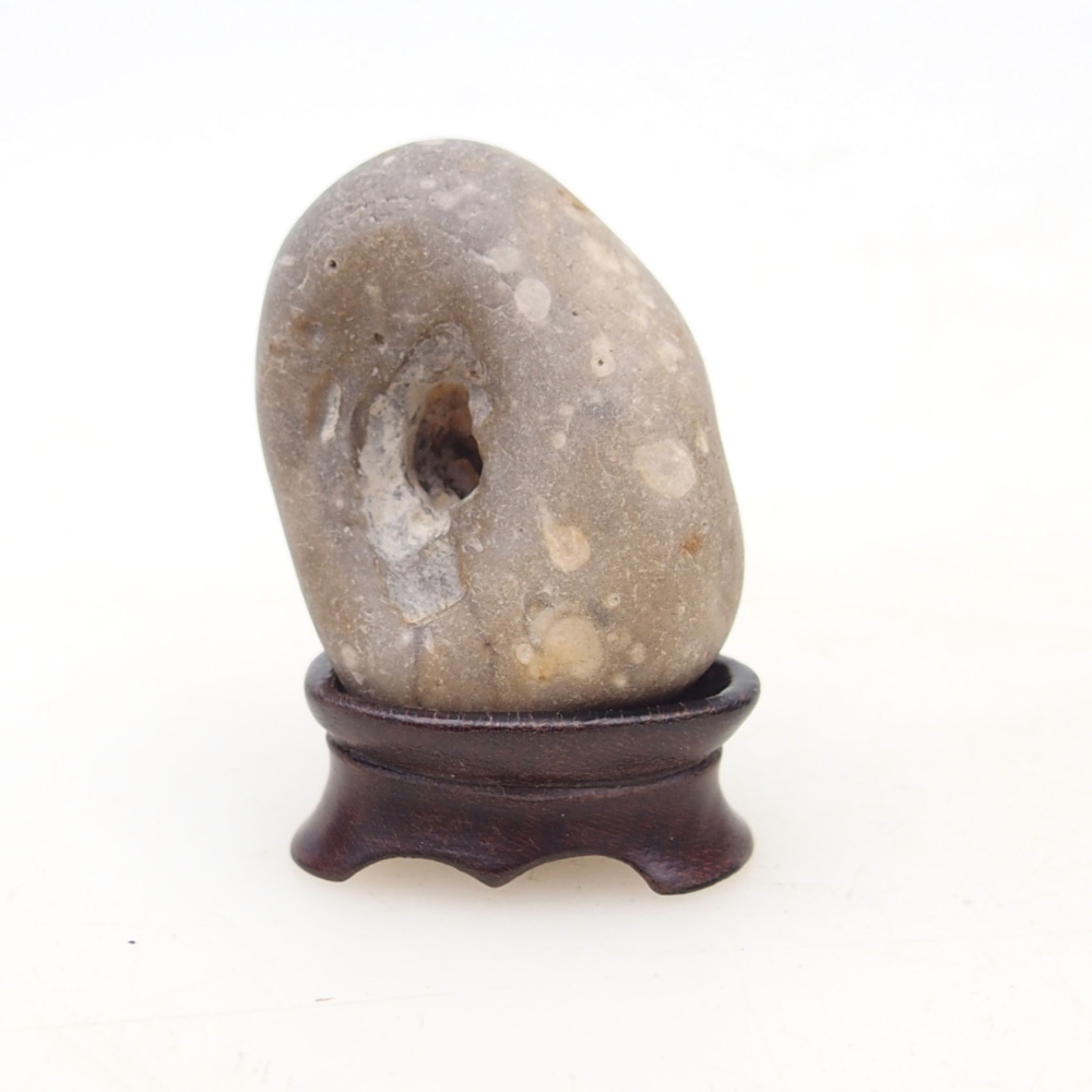 Suiseki - Stone with DAI (wooden pad)