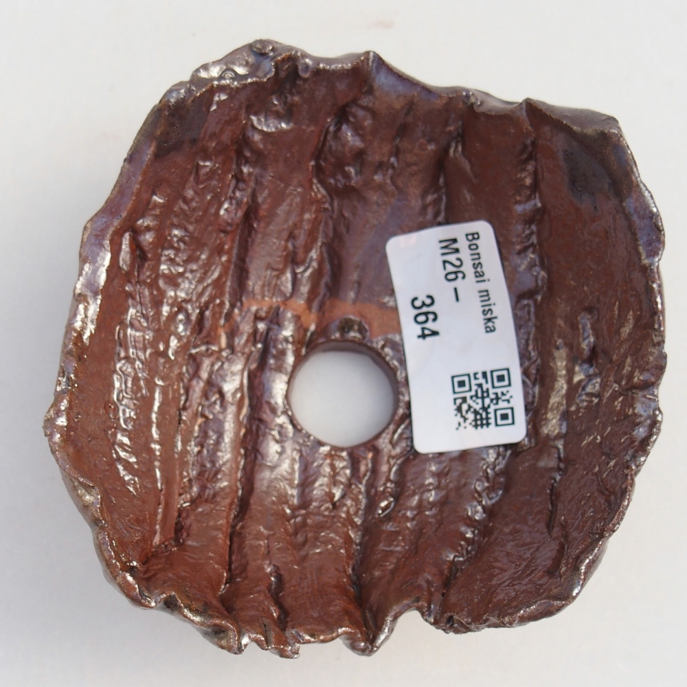 Ceramic Shell 9 x 9 x 5 cm , colour brown