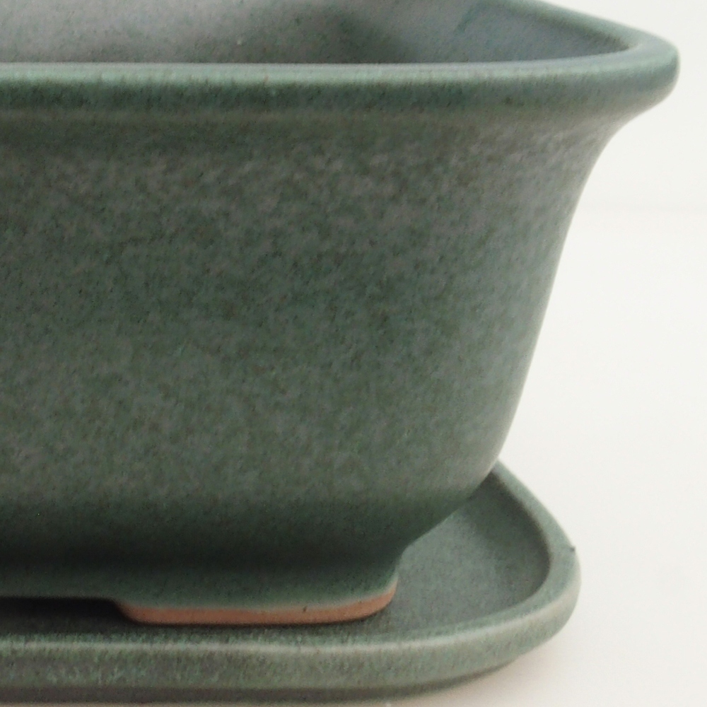Bonsai bowl + saucer H36 - 17 x 15 x 7.5 cm. - green