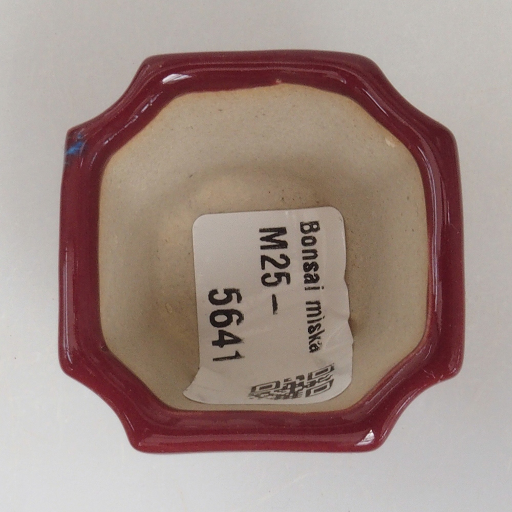 Mini bonsai bowl 4 x 4 x 4 cm, color burgundy