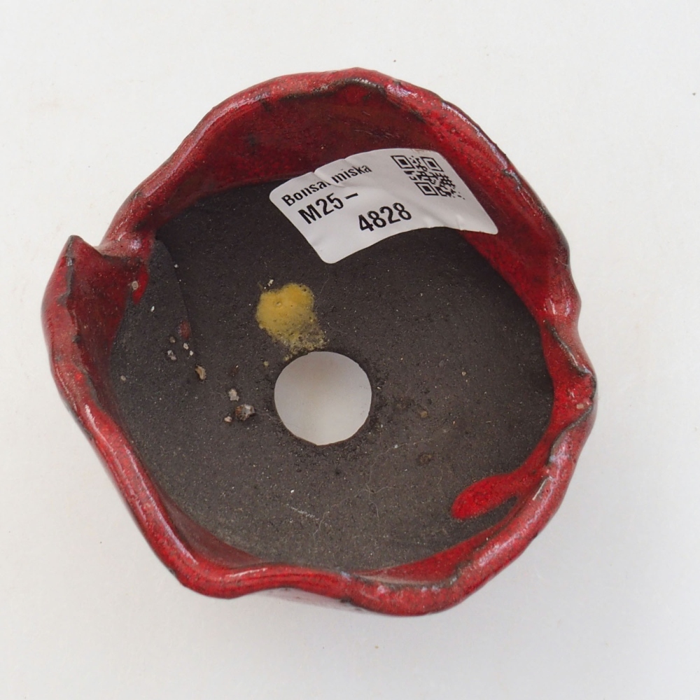 Ceramic shell 8 x 7 x 6 cm, color red