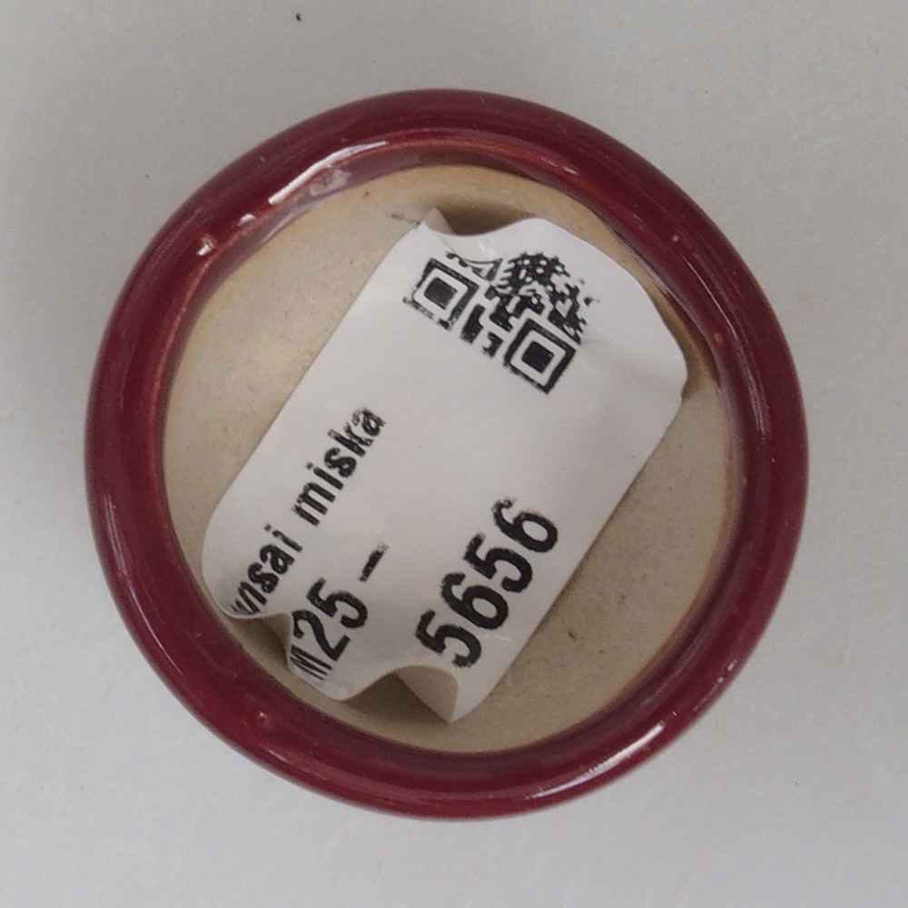 Mini bonsai bowl 3,5 x 3,5 x 2,5 cm, color burgundy