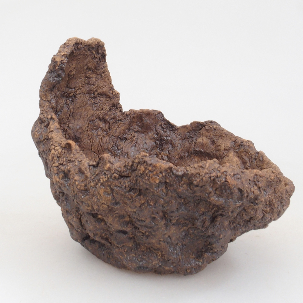 Ceramic shell 10 x 8 x 10 cm, brown color