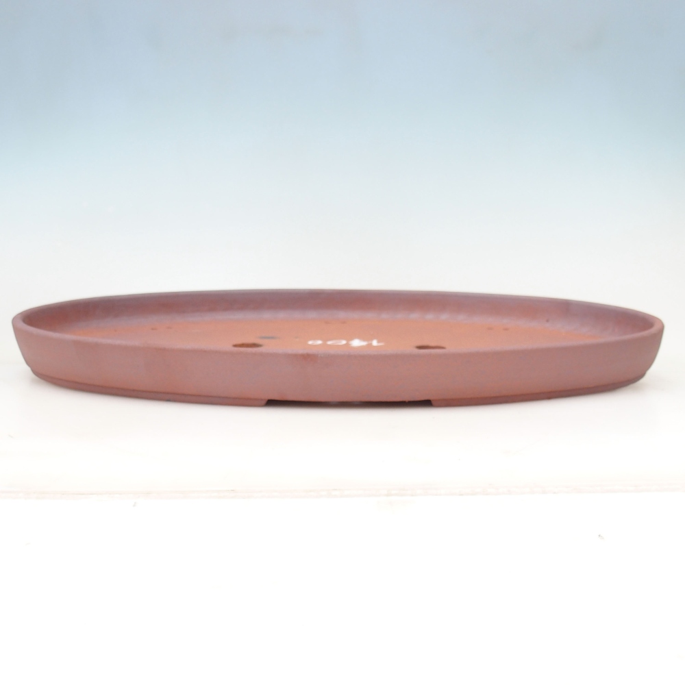 Bonsai bowl 59 x 37,5 x 4,5 cm , metal colour - PERSONAL COLLECTION ONLY or pallet transport