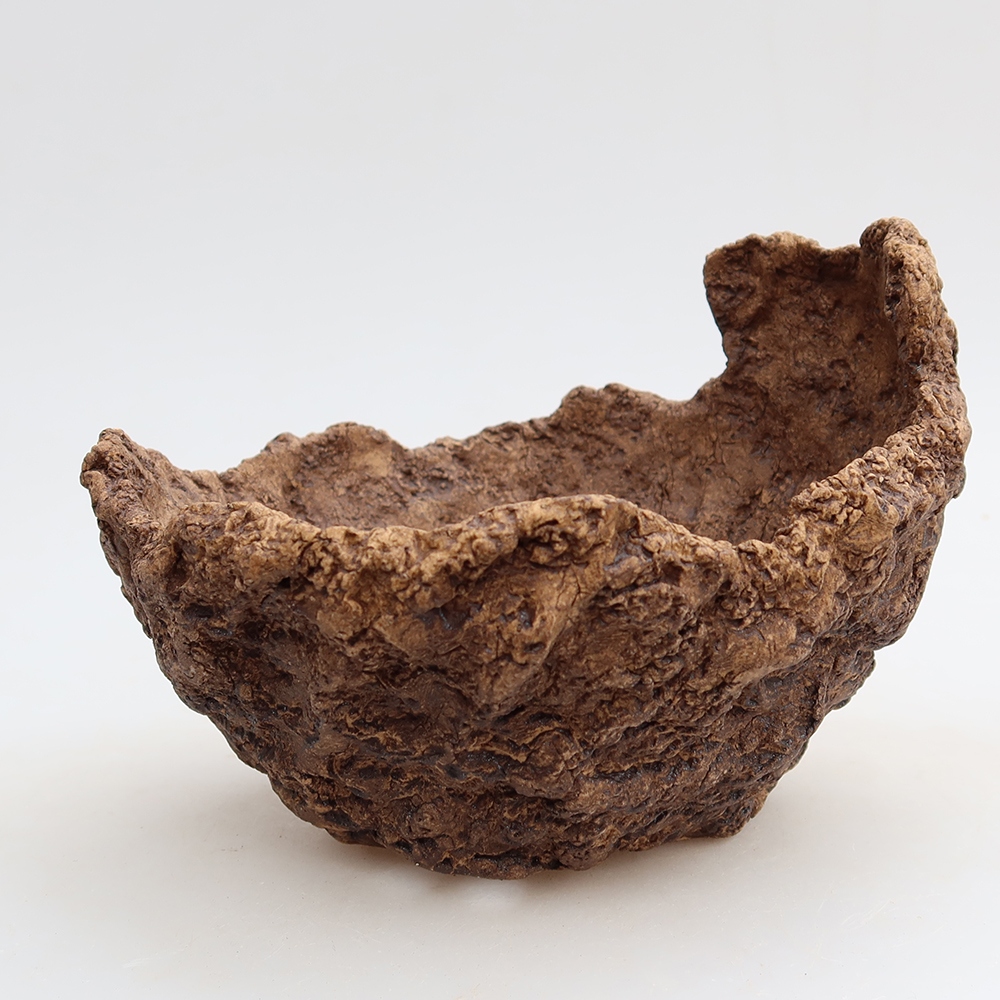 Ceramic Shell, 15 x 13 x 11.5 cm, brown
