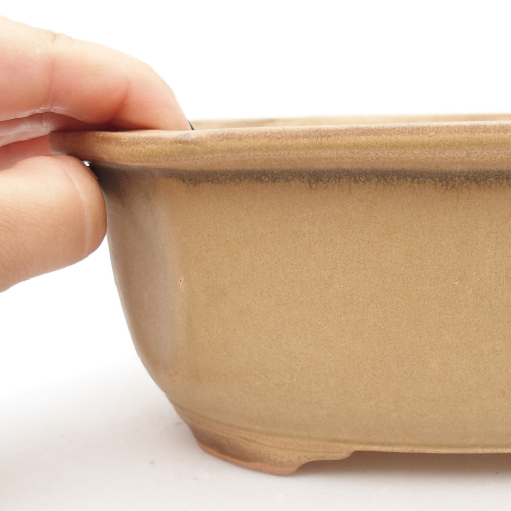Ceramic bonsai bowl 22,5 x 17,5 x 7,5 cm, color beige