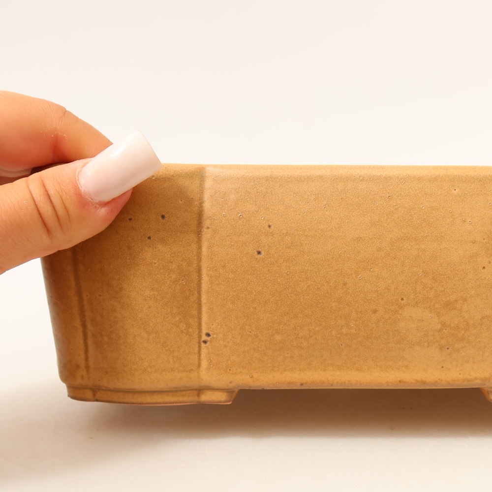 Ceramic bonsai pot, 20.5 x 17.5 x 7 cm, beige