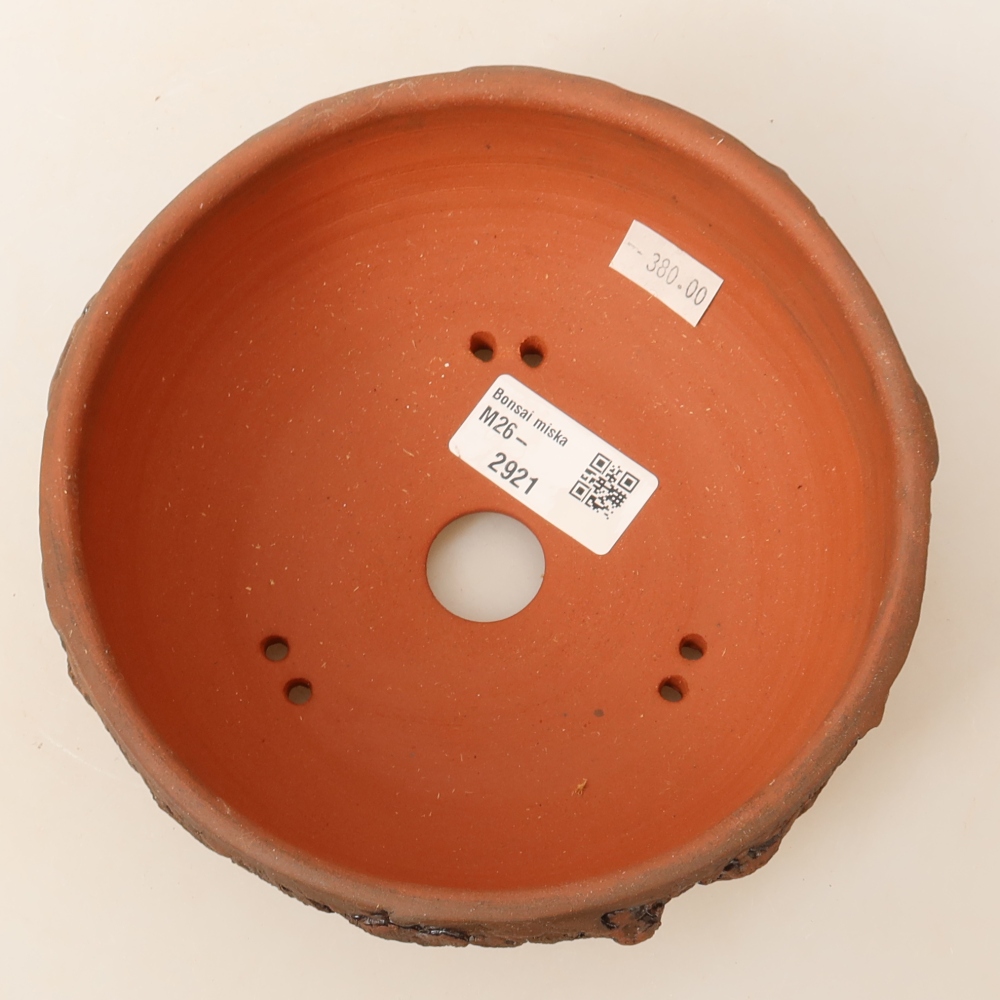 Ceramic bonsai pot, 16 x 16 x 6.5 cm, brown