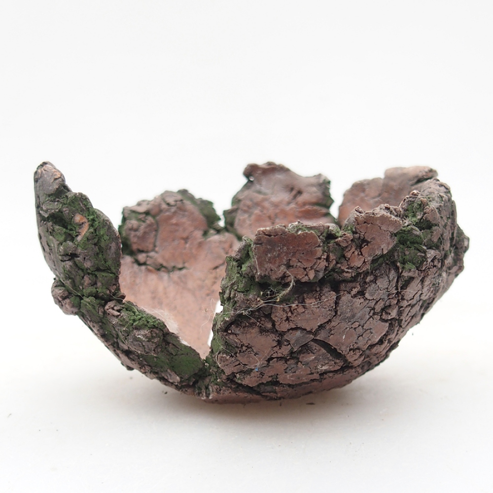 Ceramic Shell 8,5 x 8,5 x 5 cm , green color