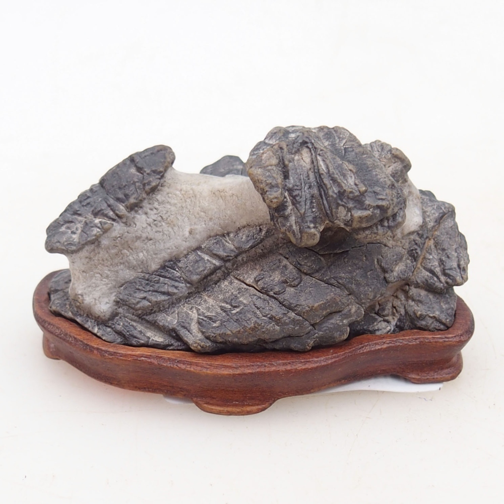 Suiseki - Stone with DAI (wooden pad)