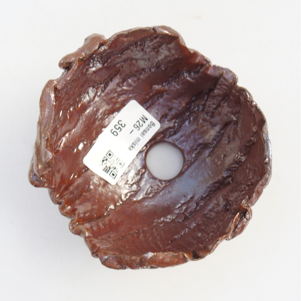 Ceramic Shell 10 x 10 x 7 cm , colour brown