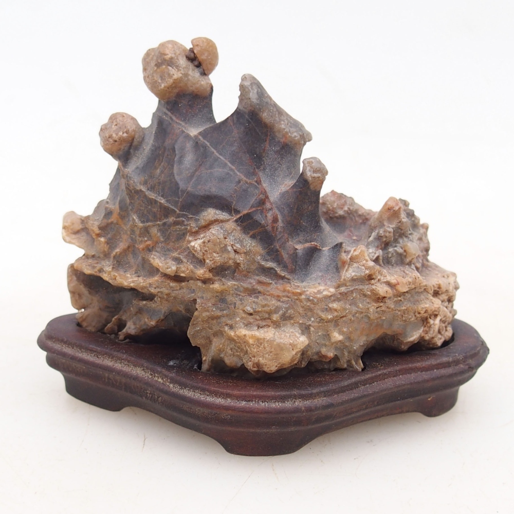 Suiseki - Stone with DAI (wooden pad)