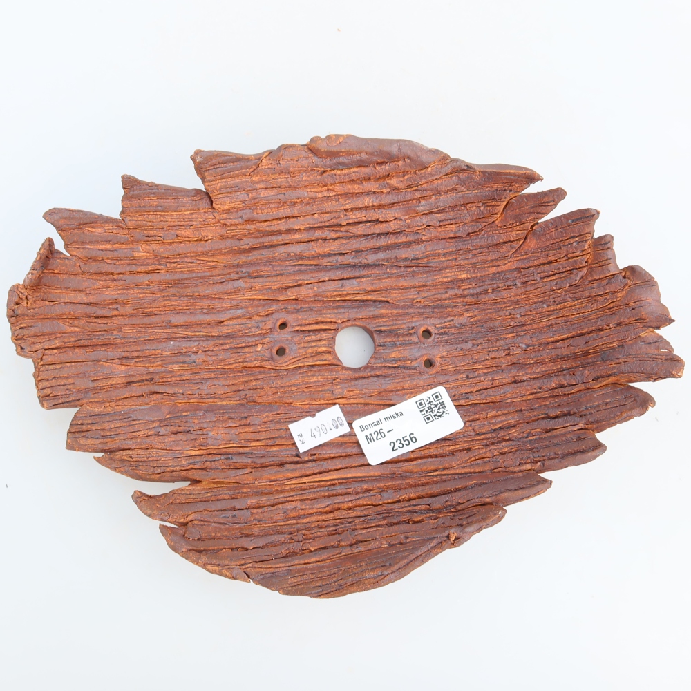 Ceramic Shell  24 x 17 x 6.5 cm, brown
