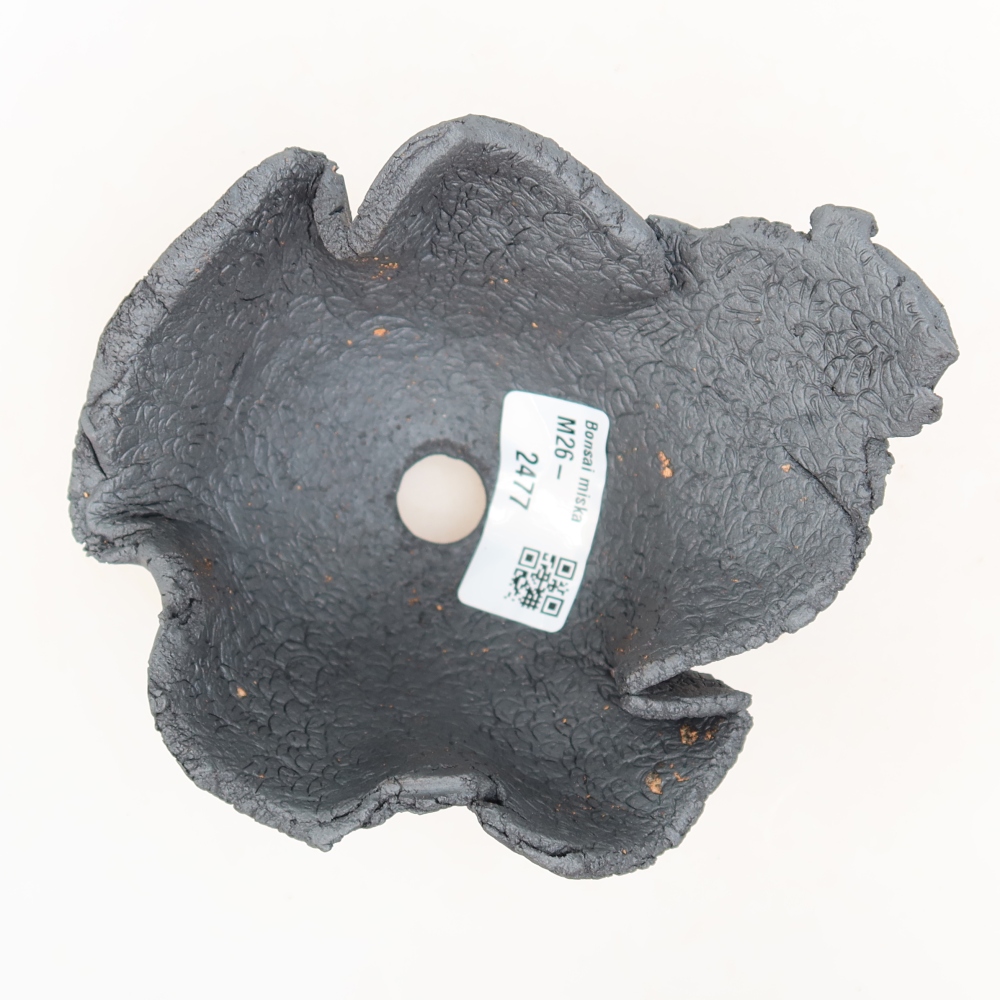 Ceramic Shell  12.5 x 11 x 7.5 cm, metallic color