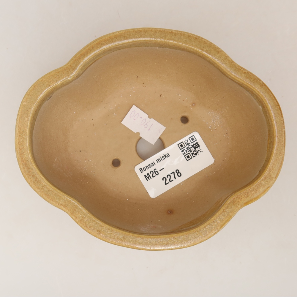 Ceramic bonsai pot, 12.5 x 10.5 x 4.5 cm, beige