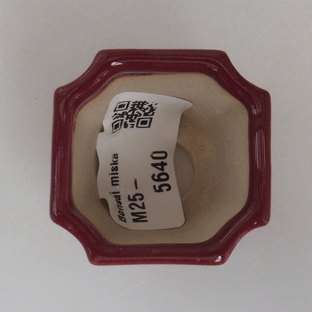 Mini bonsai bowl 4 x 4 x 4 cm, color burgundy