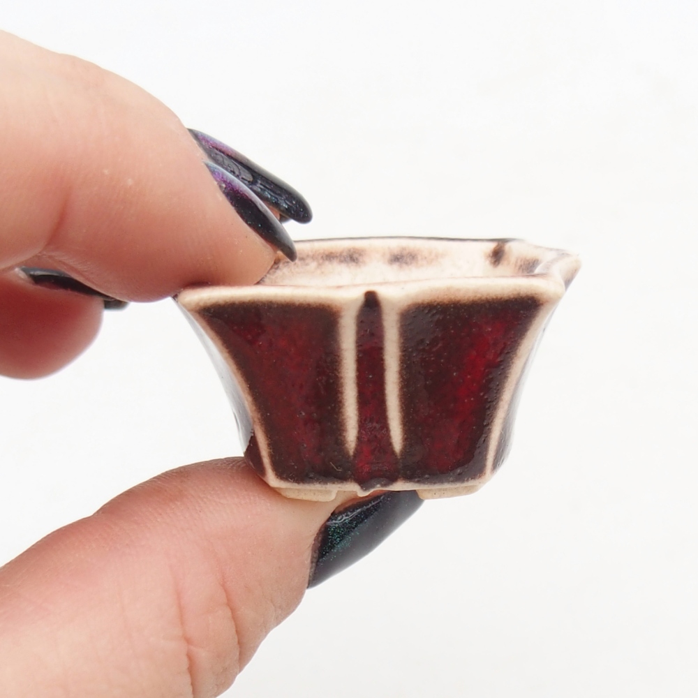 Mini bonsai bowl 3,5 x 3,5 x 2 cm, colour red