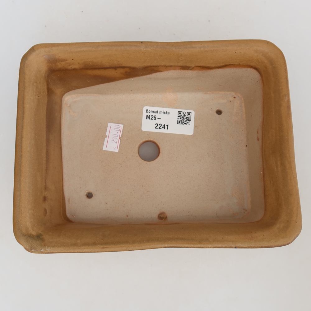 Ceramic bonsai bowl 18 x 14 x 7 cm, colour beige
