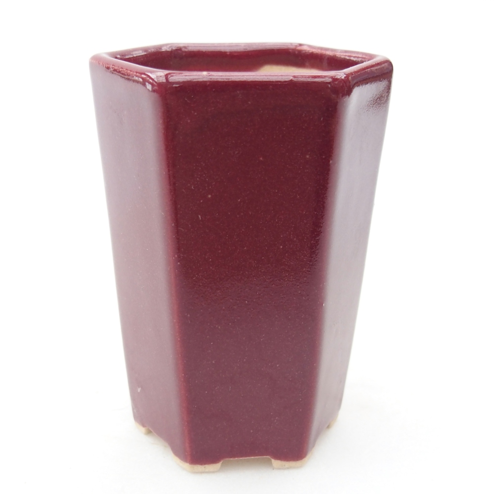 Mini bonsai bowl 5 x 4,5 x 6,5 cm, burgundy