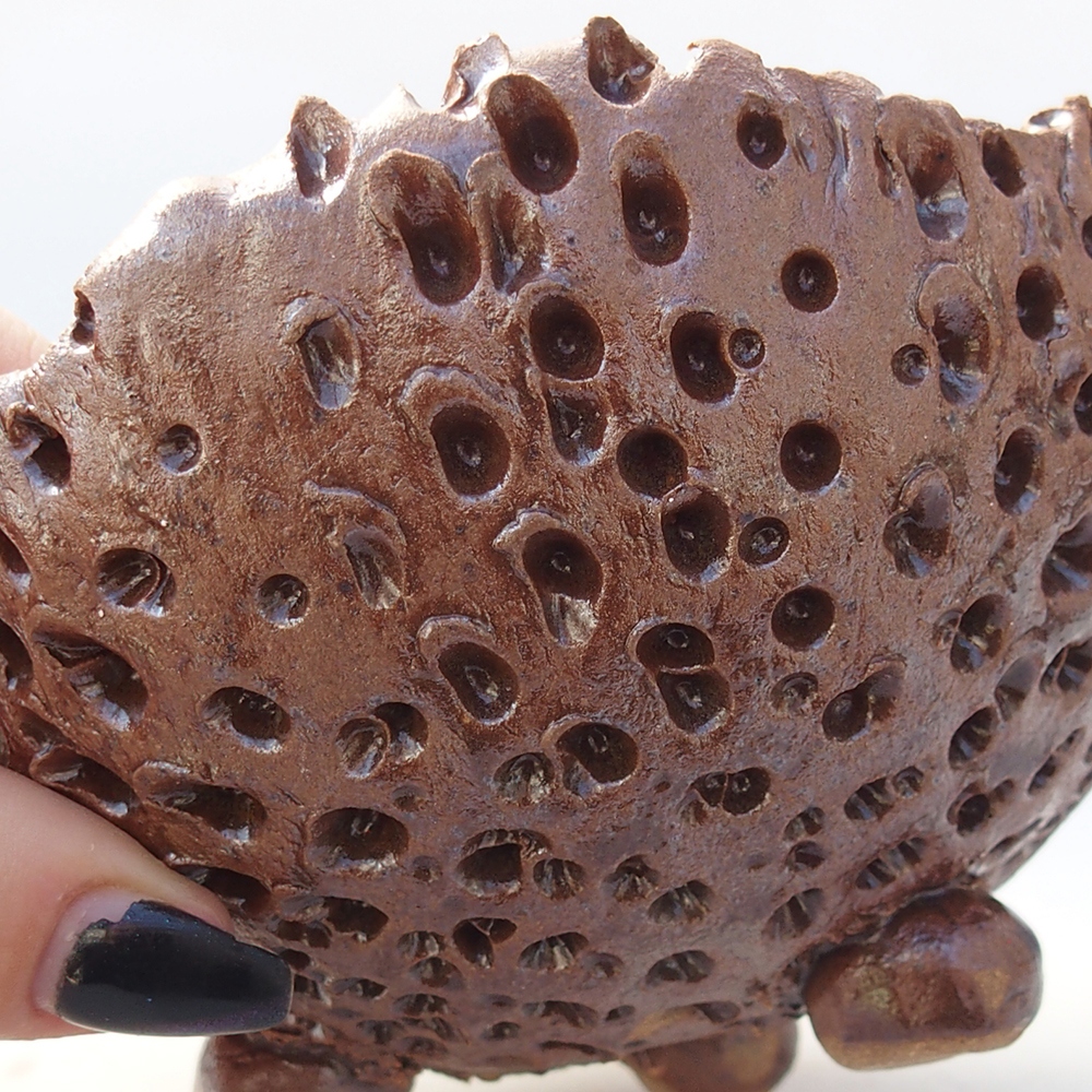 Ceramic Shell 12,5 x 12,5 x 9 cm , colour brown