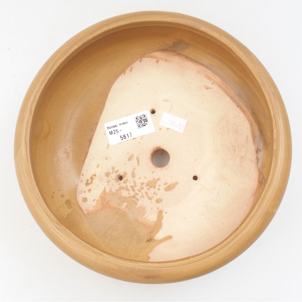 Ceramic bonsai bowl 21 x 21 x 7,5 cm, color beige
