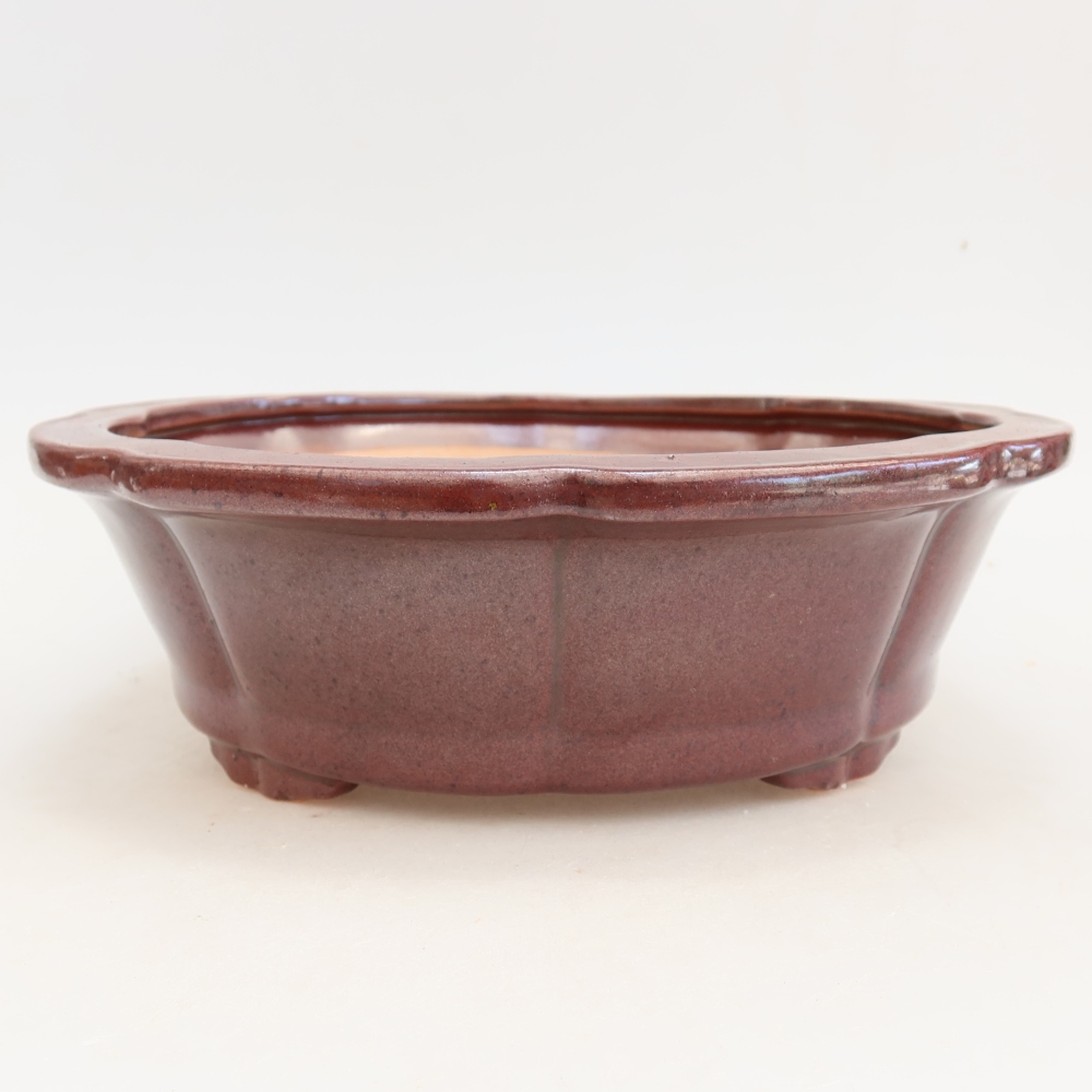 Ceramic bonsai bowl 26 x 26 x 8 cm, burgundy