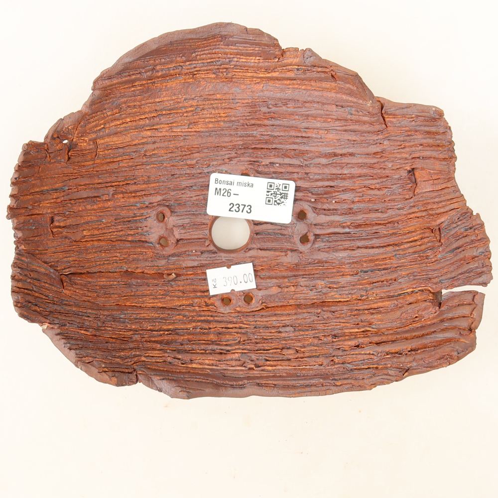 Ceramic Shell  20 x 16 x 7 cm, brown