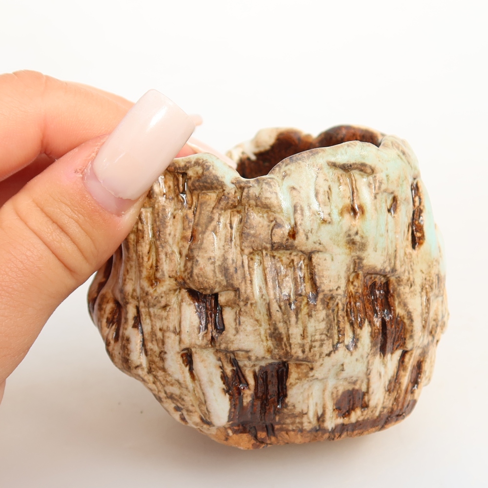 Ceramic Shell, 7 x 7 x 6.5 cm, white-brown