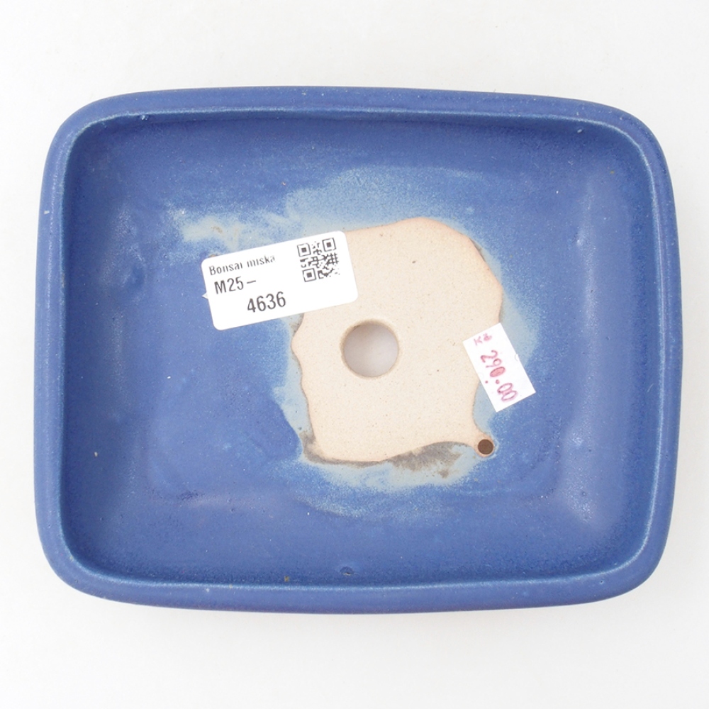 Ceramic bonsai bowl 17 x 13,5 x 3,5 cm, color blue