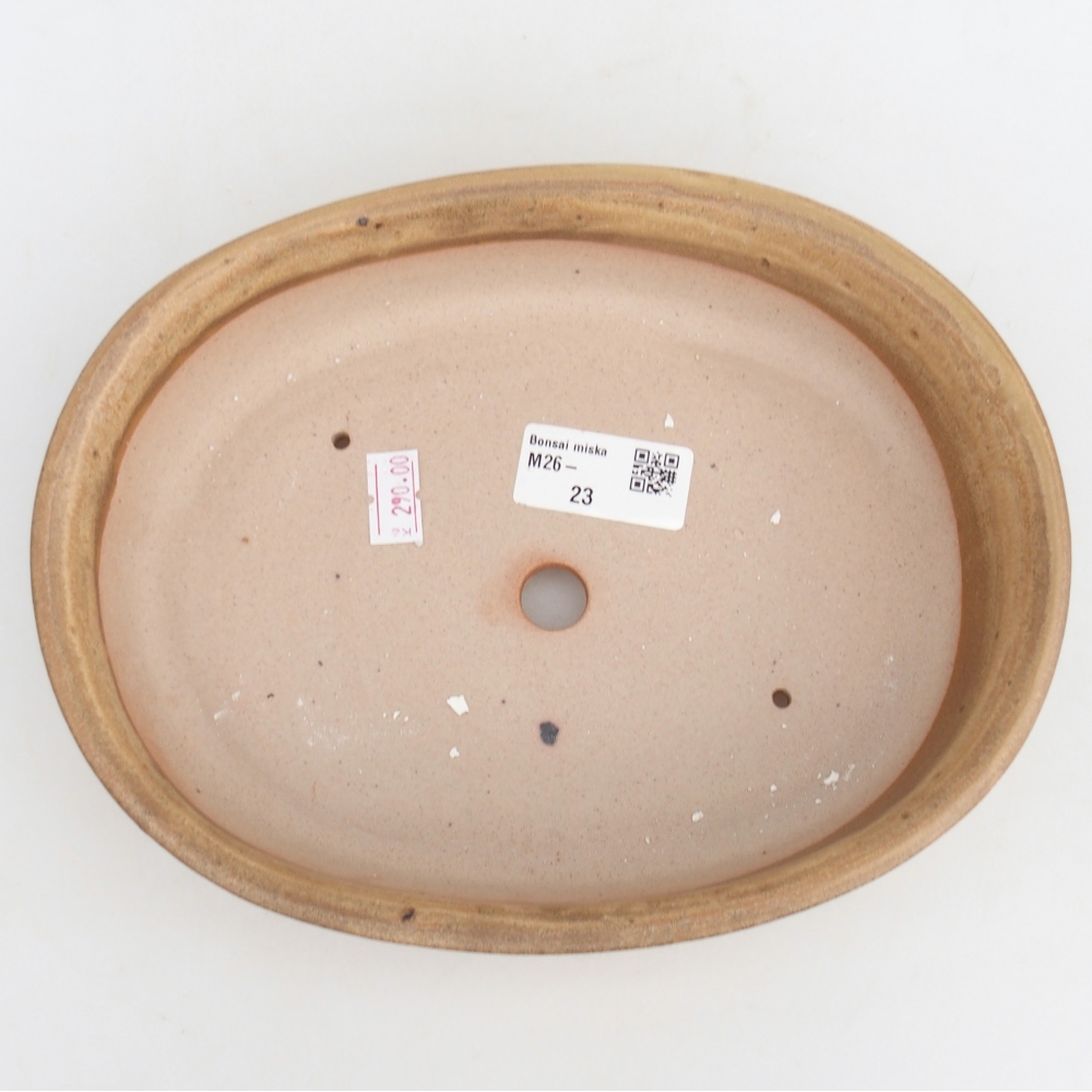 Ceramic bonsai bowl 21,5 x 17 x 5 cm, colour beige