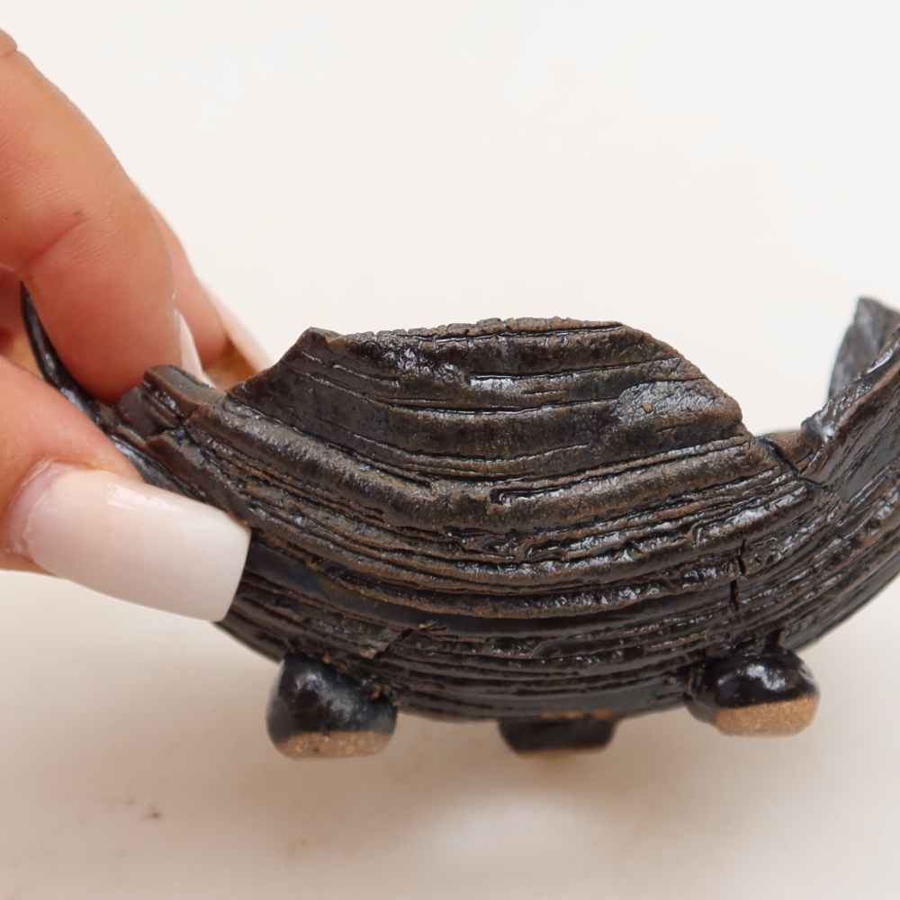 Ceramic Shell  11 x 8.5 x 6.5 cm, black-green