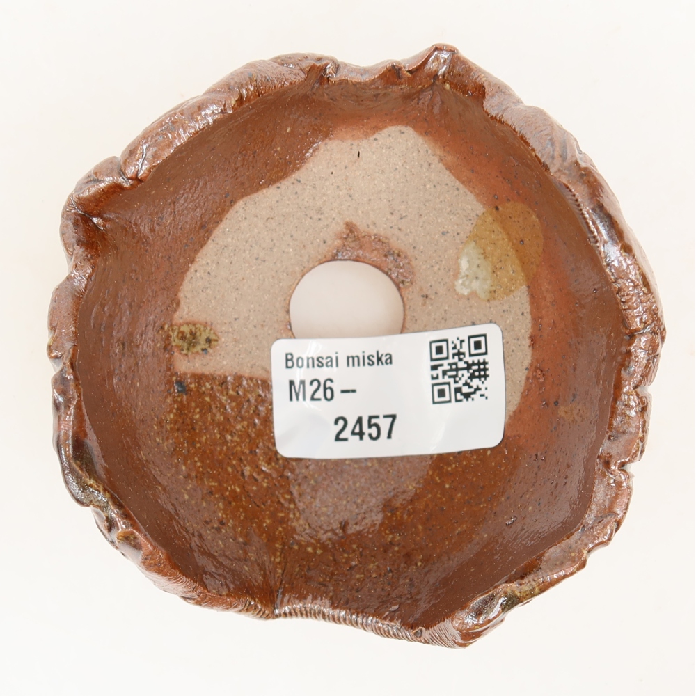 Ceramic Shell, 9 x 8 x 6 cm, brown