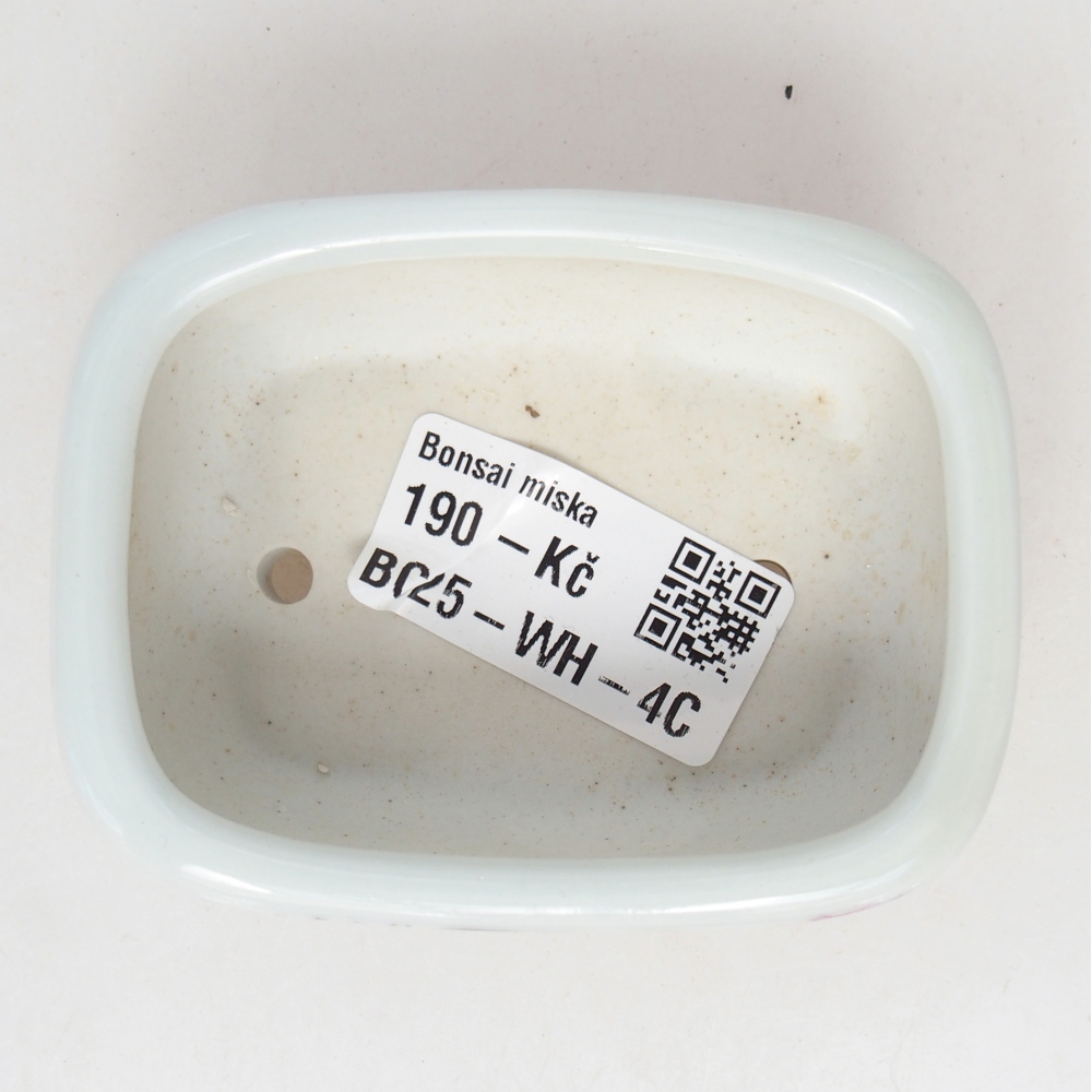 Mini bonsai bowl 8 x 6 x 3 cm, white