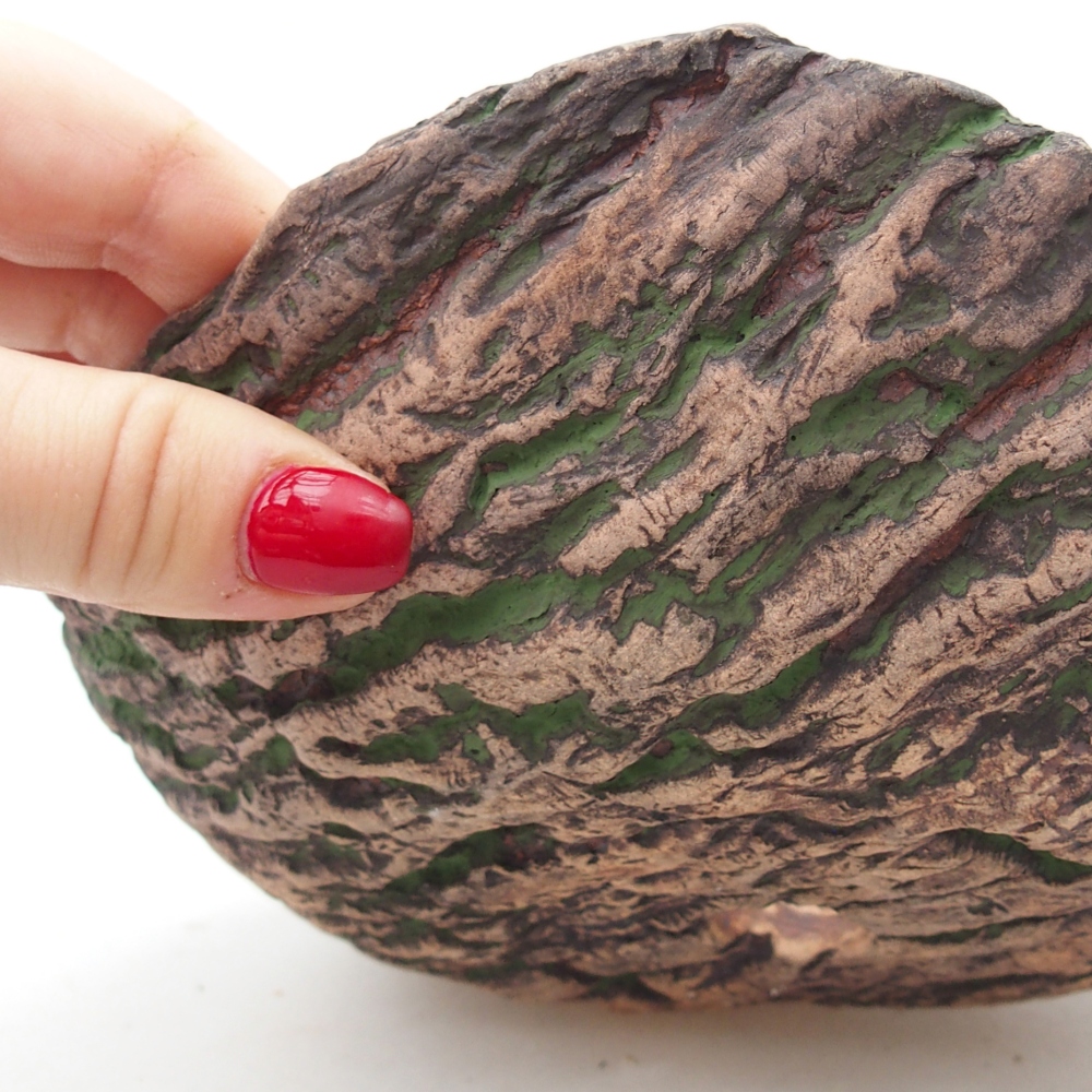 Ceramic Shell 20 x 16 x 6,5 cm , colour green