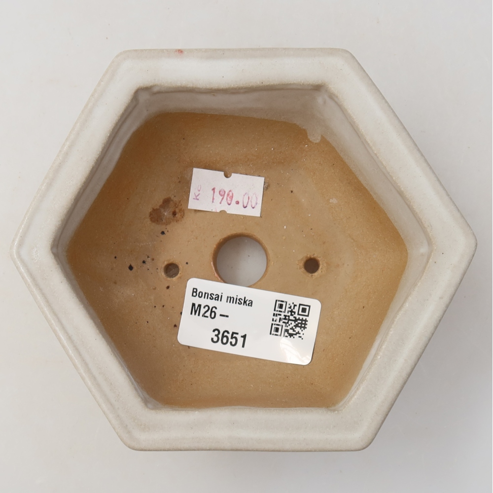 Ceramic bonsai pot, 12 x 10.5 x 4.5 cm, white