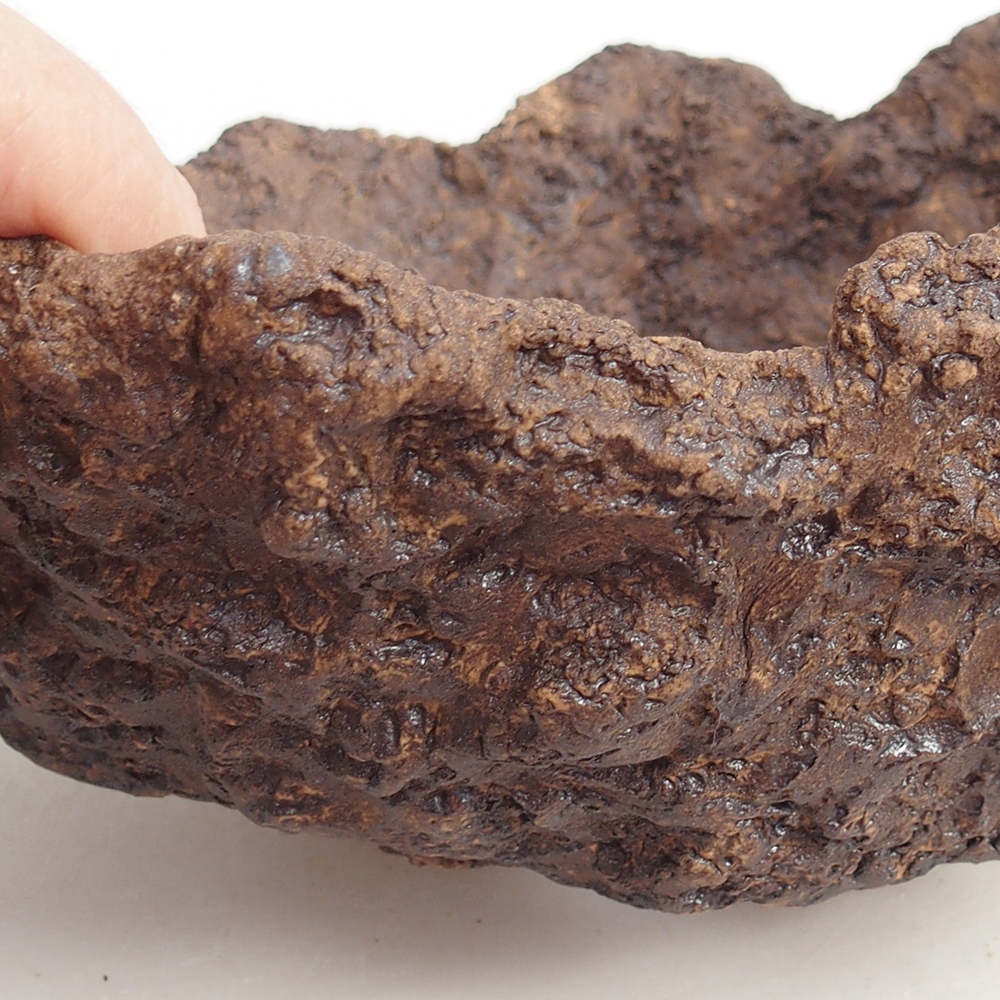 Ceramic shell 19 x 15 x 14 cm , colour brown