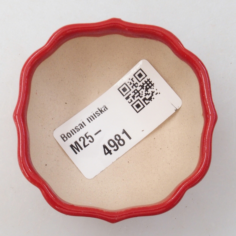 Mini bonsai bowl 6 x 5,5 x 2,5 cm, color red